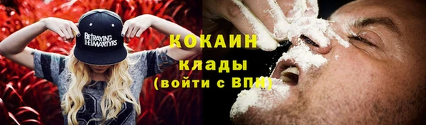 гидра Волоколамск