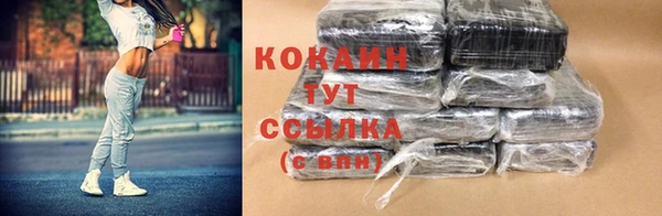 гидра Волоколамск