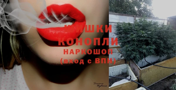 гидра Волоколамск