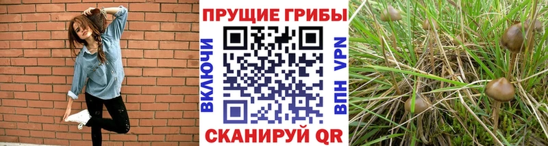 Галлюциногенные грибы MAGIC MUSHROOMS  OMG рабочий сайт  Ноябрьск 